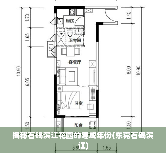 揭秘石碣滨江花园的建成年份(东莞石碣滨江)