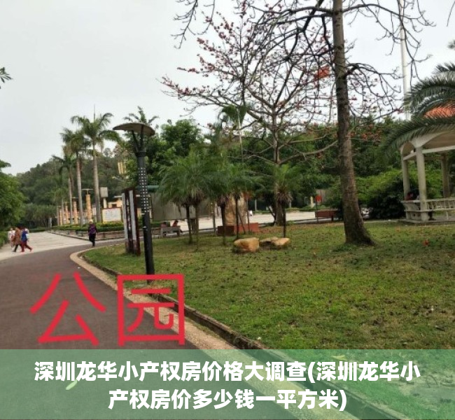 深圳龙华小产权房价格大调查(深圳龙华小产权房价多少钱一平方米)