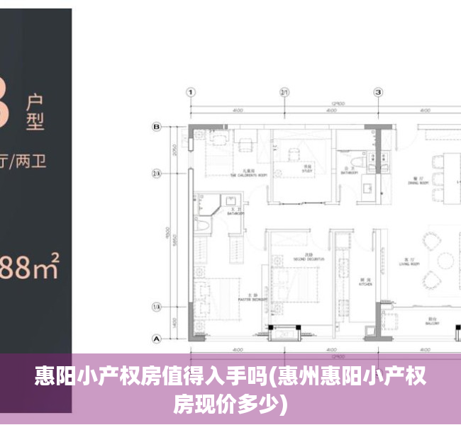 惠阳小产权房值得入手吗(惠州惠阳小产权房现价多少)