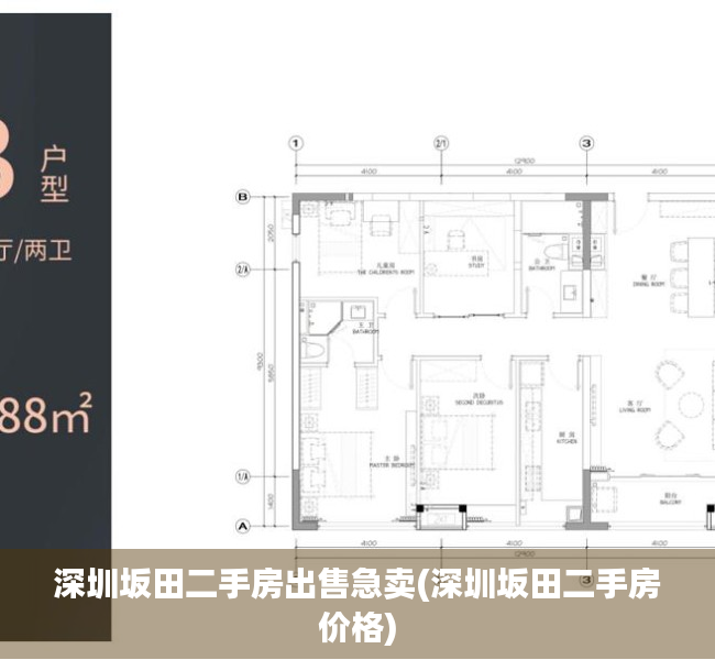 深圳坂田二手房出售急卖(深圳坂田二手房价格)