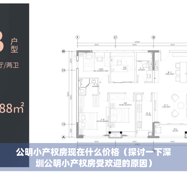 公明小产权房现在什么价格（探讨一下深圳公明小产权房受欢迎的原因）