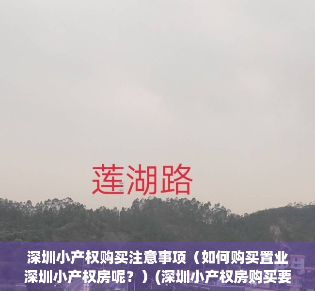 深圳小产权购买注意事项（如何购买置业深圳小产权房呢？）(深圳小产权房购买要注意哪些问题)