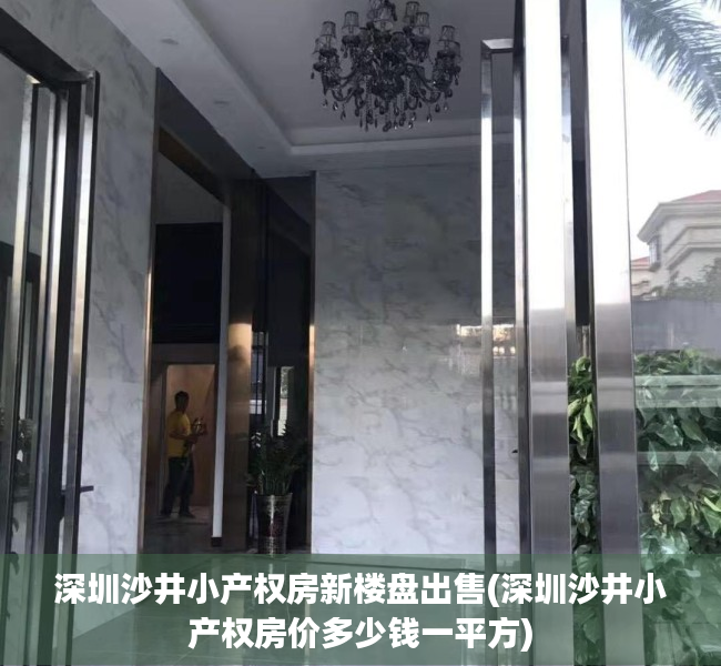 深圳沙井小产权房新楼盘出售(深圳沙井小产权房价多少钱一平方)