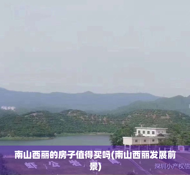 南山西丽的房子值得买吗(南山西丽发展前景)