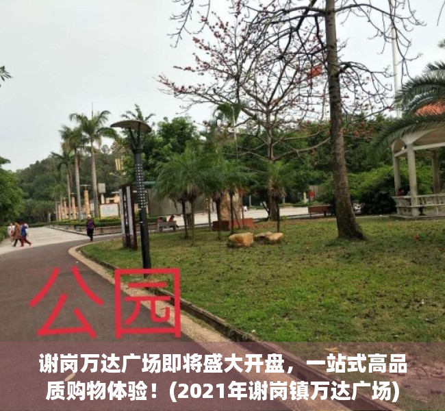 谢岗万达广场即将盛大开盘，一站式高品质购物体验！(2021年谢岗镇万达广场)