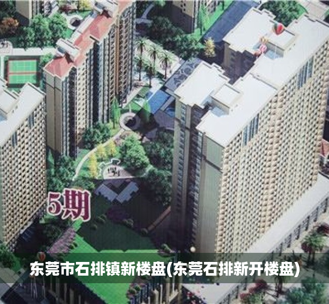 东莞市石排镇新楼盘(东莞石排新开楼盘)