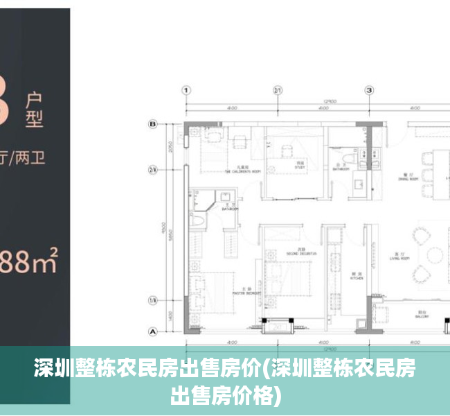 深圳整栋农民房出售房价(深圳整栋农民房出售房价格)