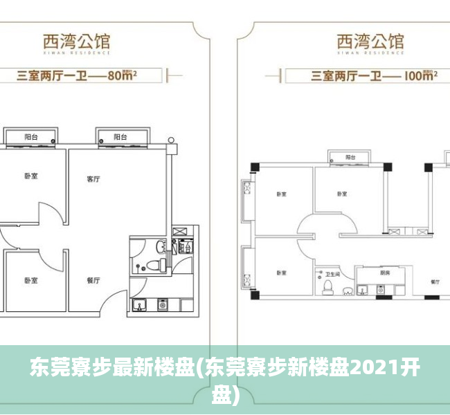 东莞寮步最新楼盘(东莞寮步新楼盘2021开盘)