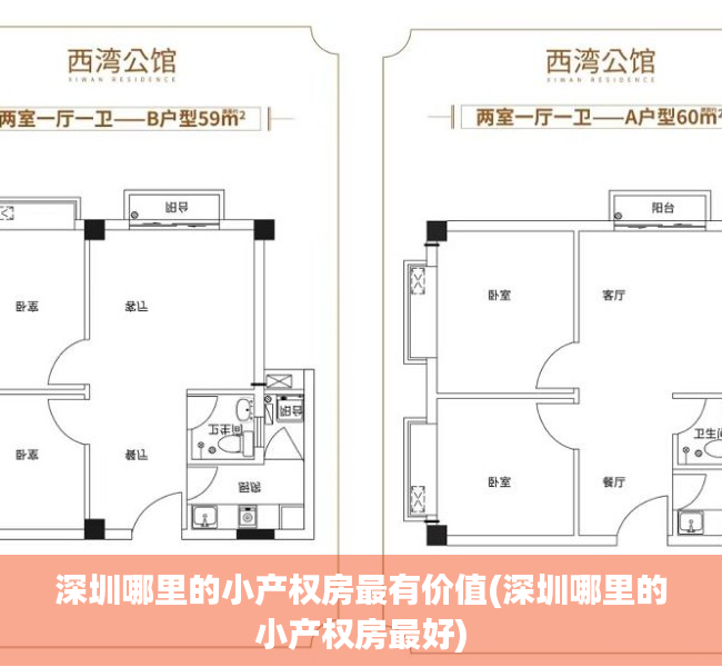 深圳哪里的小产权房最有价值(深圳哪里的小产权房最好)