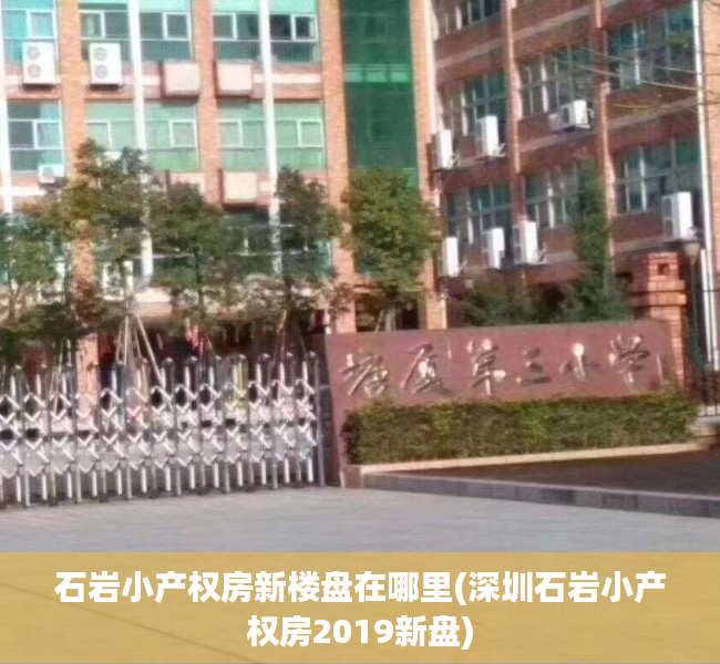 石岩小产权房新楼盘在哪里(深圳石岩小产权房2019新盘)