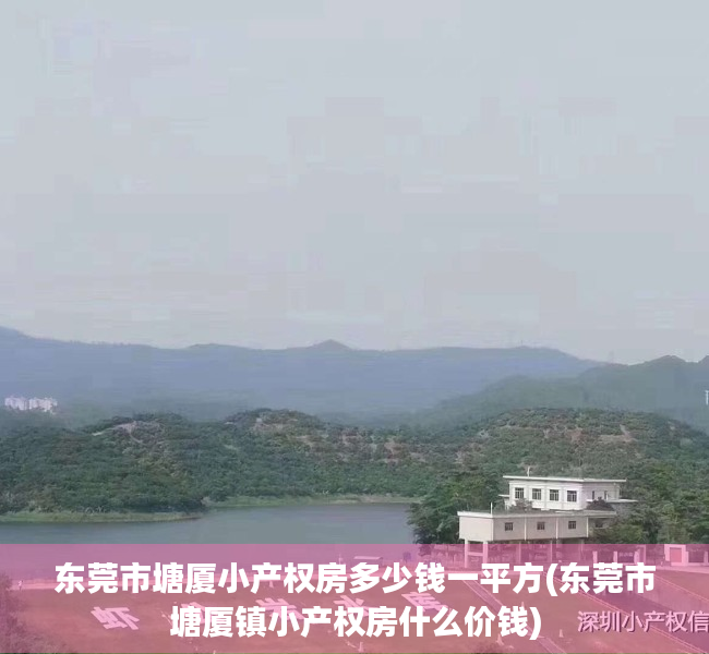 东莞市塘厦小产权房多少钱一平方(东莞市塘厦镇小产权房什么价钱)