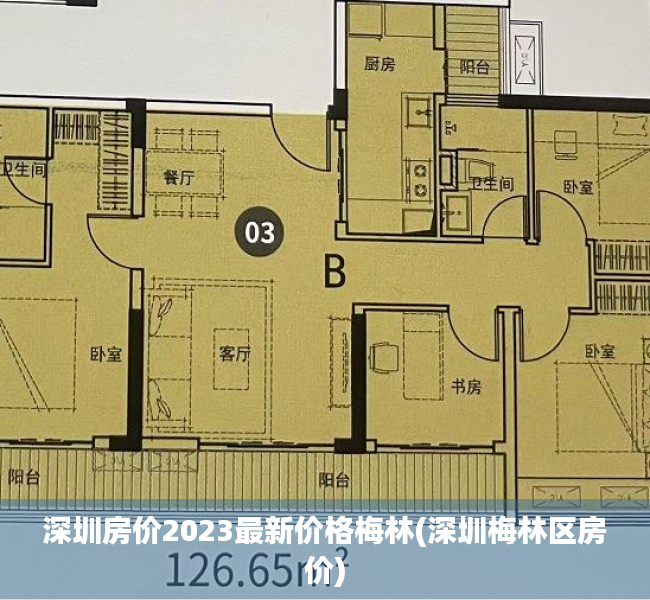 深圳房价2023最新价格梅林(深圳梅林区房价)