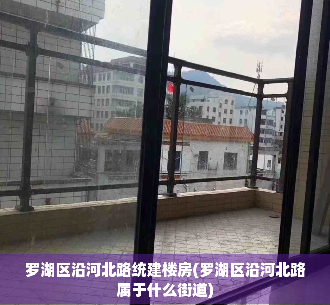 罗湖区沿河北路统建楼房(罗湖区沿河北路属于什么街道)