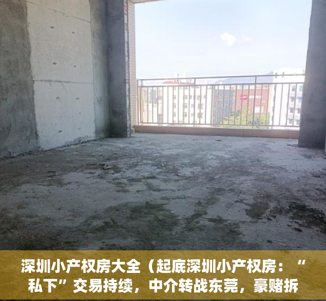 深圳小产权房大全（起底深圳小产权房：“私下”交易持续，中介转战东莞，豪赌拆迁补偿）