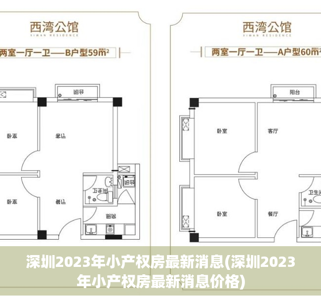 深圳2023年小产权房最新消息(深圳2023年小产权房最新消息价格)