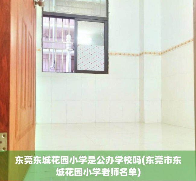 东莞东城花园小学是公办学校吗(东莞市东城花园小学老师名单)