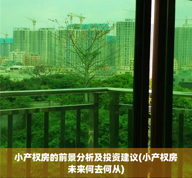 小产权房的前景分析及投资建议(小产权房未来何去何从)