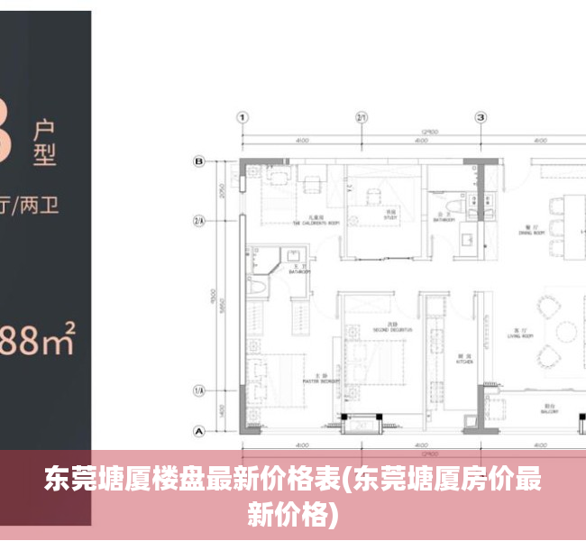 东莞塘厦楼盘最新价格表(东莞塘厦房价最新价格)