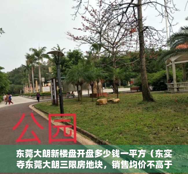 东莞大朗新楼盘开盘多少钱一平方（东实夺东莞大朗三限房地块，销售均价不高于31232元㎡）