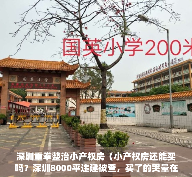 深圳重拳整治小产权房（小产权房还能买吗？深圳8000平违建被查，买了的哭晕在厕所！）