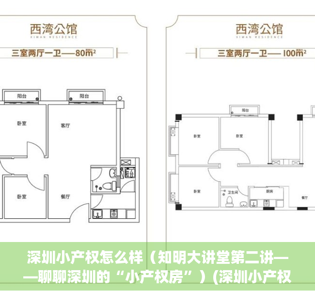 深圳小产权怎么样（知明大讲堂第二讲——聊聊深圳的“小产权房”）(深圳小产权是什么意思)