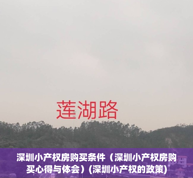 深圳小产权房购买条件（深圳小产权房购买心得与体会）(深圳小产权的政策)