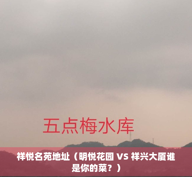 祥悦名苑地址（明悦花园 VS 祥兴大厦谁是你的菜？）