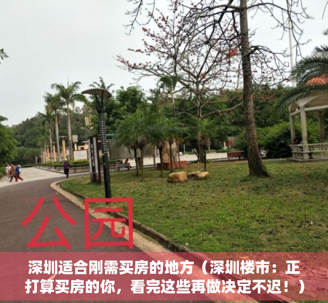 深圳适合刚需买房的地方（深圳楼市：正打算买房的你，看完这些再做决定不迟！）