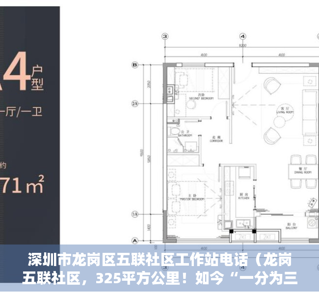 深圳市龙岗区五联社区工作站电话（龙岗五联社区，325平方公里！如今“一分为三”！）