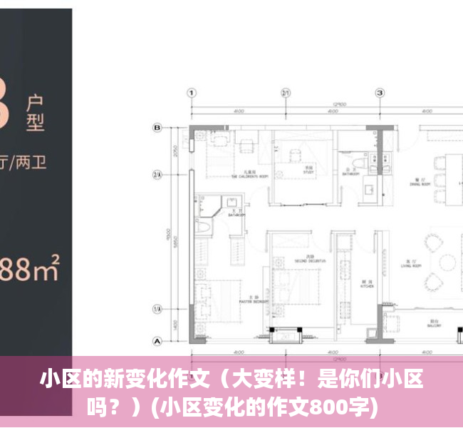 小区的新变化作文（大变样！是你们小区吗？）(小区变化的作文800字)