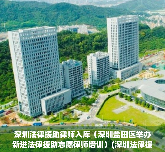 深圳法律援助律师入库（深圳盐田区举办新进法律援助志愿律师培训）(深圳法律援助处是属于什么机构)