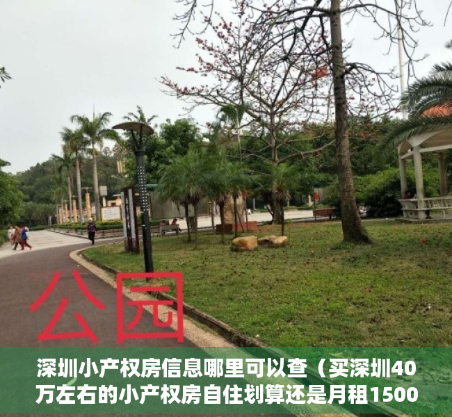 深圳小产权房信息哪里可以查（买深圳40万左右的小产权房自住划算还是月租1500的租房划算？）