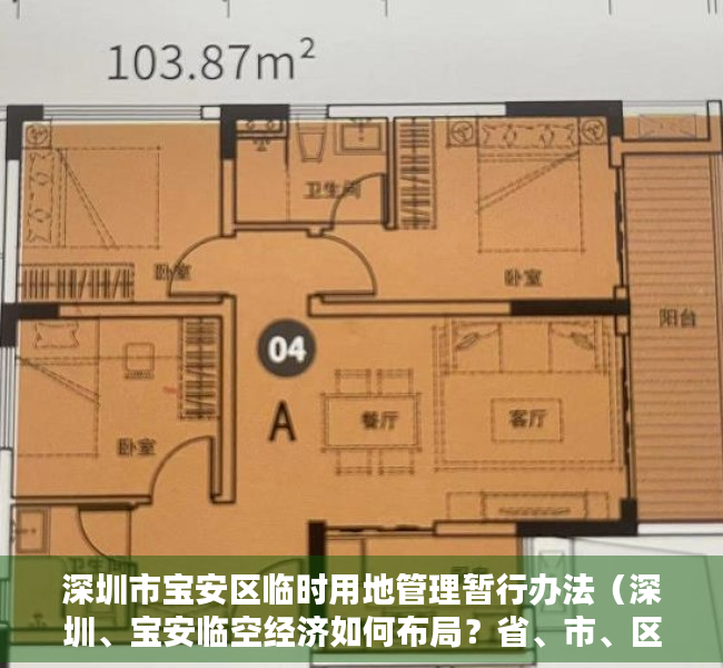 深圳市宝安区临时用地管理暂行办法（深圳、宝安临空经济如何布局？省、市、区三级政协委员共提建议）