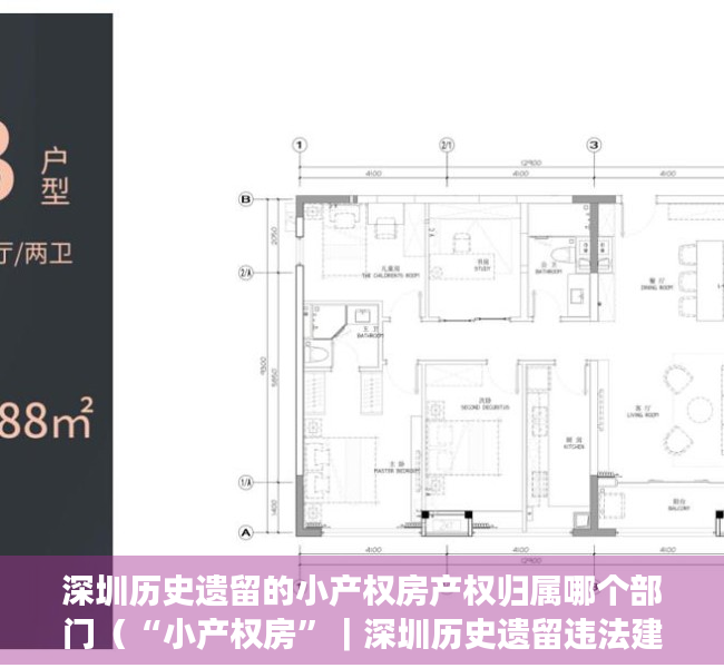 深圳历史遗留的小产权房产权归属哪个部门（“小产权房”｜深圳历史遗留违法建筑“绿本房”的强制执行）