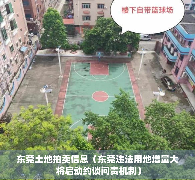 东莞土地拍卖信息（东莞违法用地增量大 将启动约谈问责机制）