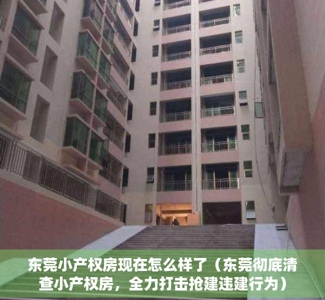 东莞小产权房现在怎么样了（东莞彻底清查小产权房，全力打击抢建违建行为）