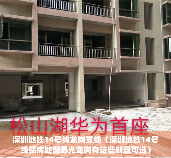 深圳地铁14号线龙岗支线（深圳地铁14号线买房地图曝光龙岗有这些新盘可选）