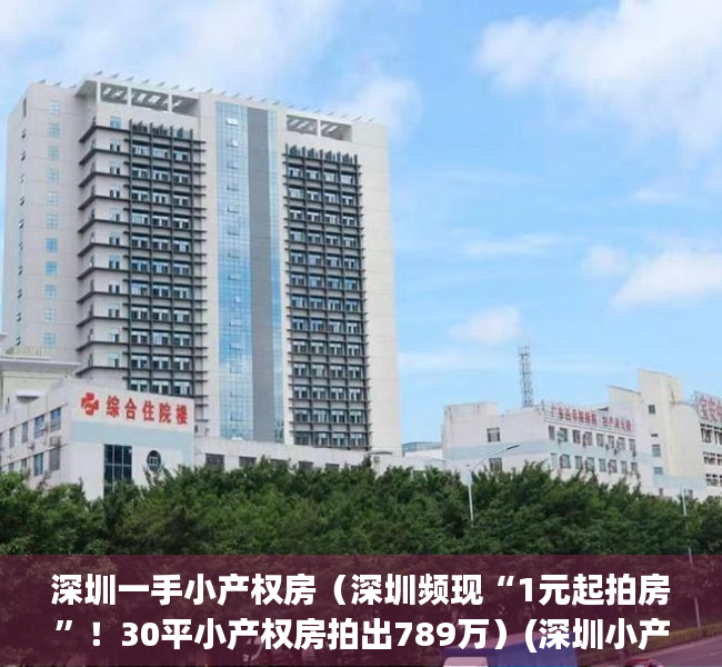 深圳一手小产权房（深圳频现“1元起拍房”！30平小产权房拍出789万）(深圳小产权房出售价格)