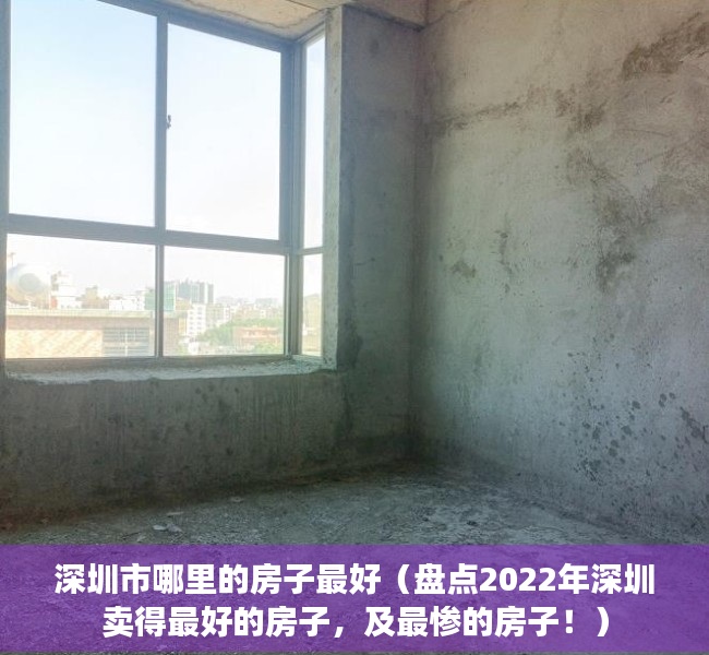 深圳市哪里的房子最好（盘点2022年深圳卖得最好的房子，及最惨的房子！）