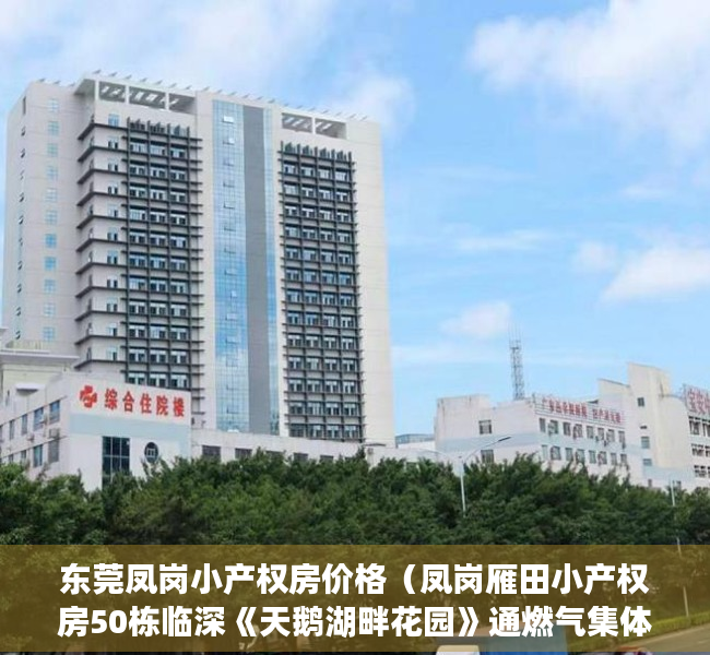 东莞凤岗小产权房价格（凤岗雁田小产权房50栋临深《天鹅湖畔花园》通燃气集体大红本）