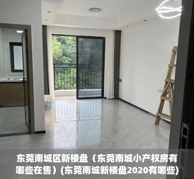 东莞南城区新楼盘（东莞南城小产权房有哪些在售）(东莞南城新楼盘2020有哪些)