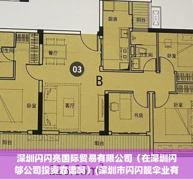 深圳闪闪亮国际贸易有限公司（在深圳闪够公司投资靠谱吗）(深圳市闪闪靓伞业有限公司)