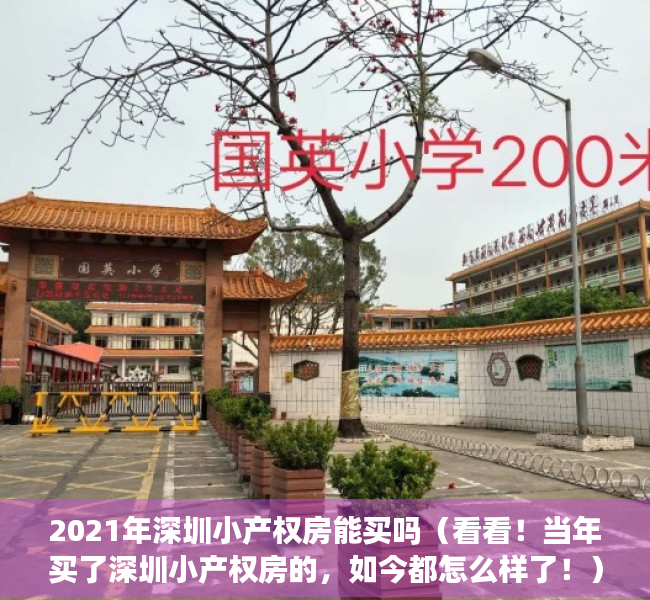 2021年深圳小产权房能买吗（看看！当年买了深圳小产权房的，如今都怎么样了！）