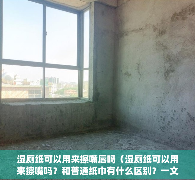 湿厕纸可以用来擦嘴唇吗（湿厕纸可以用来擦嘴吗？和普通纸巾有什么区别？一文读懂！）