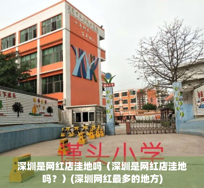 深圳是网红店洼地吗（深圳是网红店洼地吗？）(深圳网红最多的地方)