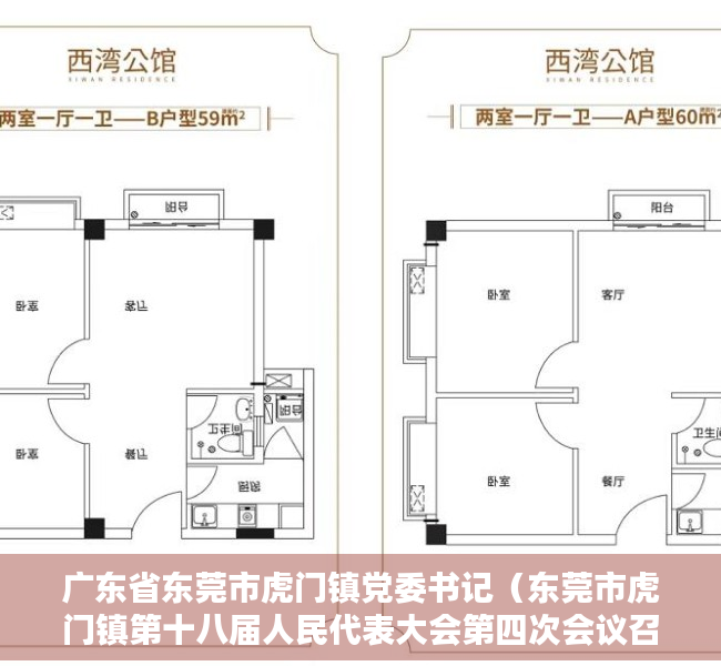 广东省东莞市虎门镇党委书记（东莞市虎门镇第十八届人民代表大会第四次会议召开）