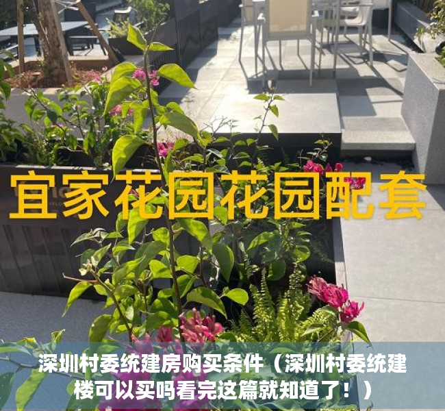 深圳村委统建房购买条件（深圳村委统建楼可以买吗看完这篇就知道了！）