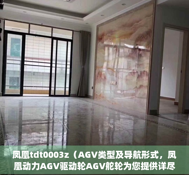 凤凰tdt0003z（AGV类型及导航形式，凤凰动力AGV驱动轮AGV舵轮为您提供详尽解读）