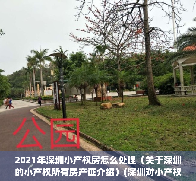 2021年深圳小产权房怎么处理（关于深圳的小产权所有房产证介绍）(深圳对小产权房的处理办法)