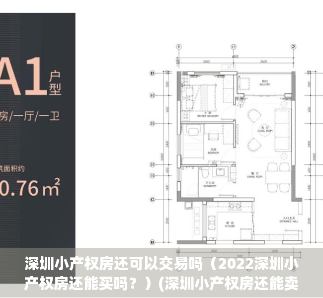 深圳小产权房还可以交易吗（2022深圳小产权房还能买吗？）(深圳小产权房还能卖吗)